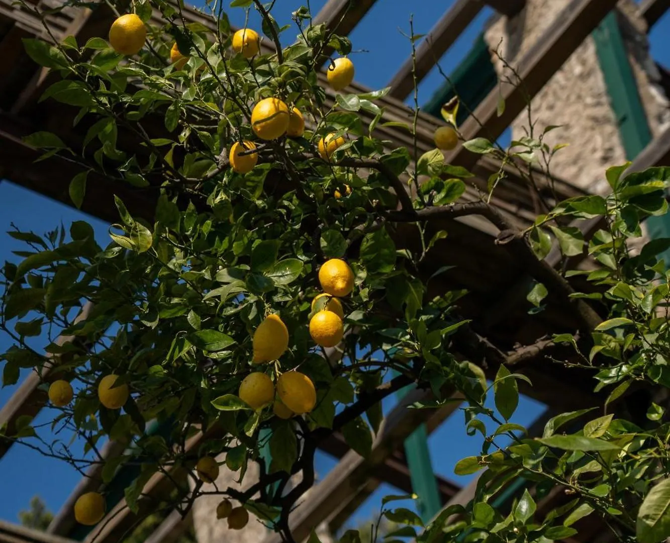 Locanda San Vigilio Garda  Hotel